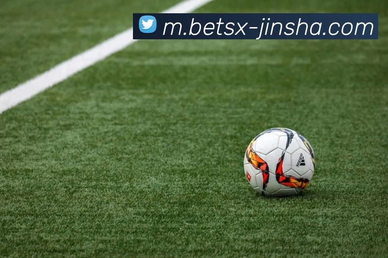 澳门金沙官网平台生态图